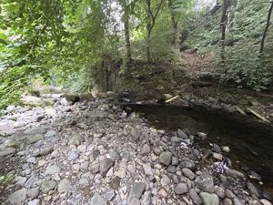 Photo 29- click for photo gallery